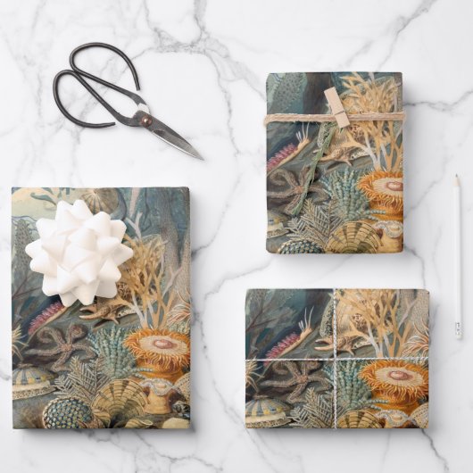 Ocean Life Vintage Malerei mit Meereslebewesen Geschenkpapier Set (Vorderseite)