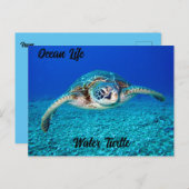 Ocean Life Water Turtle Postkarte (Vorne/Hinten)