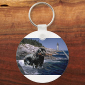 Ocean Newf Schlüsselanhänger (Vorderseite)