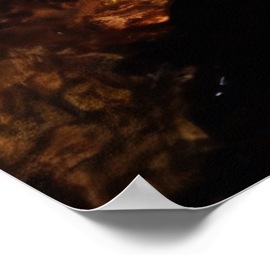 Ocean Portals Poster (Ecke)