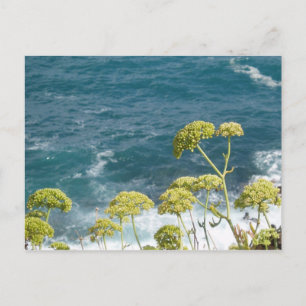 Ocean Postcard Postkarte