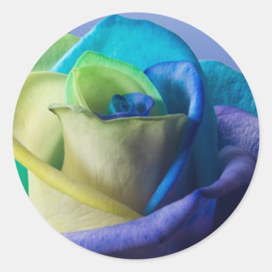 Ocean Rose Siegel Runder Aufkleber (Vorderseite)
