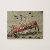 Ocean Sand Crab Puzzle (Horizontal)