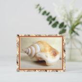Ocean Seashell Postkarte (Stehend Vorderseite)
