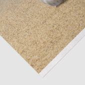 Ocean Shore Seashell Decoupage Tissue Paper Seidenpapier (Ausschnitt)