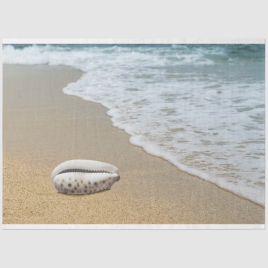 Ocean Shore Seashell Decoupage Tissue Paper Seidenpapier (Vorderseite)