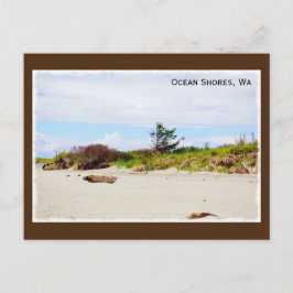 Ocean Shows, Washington Postcard Postkarte