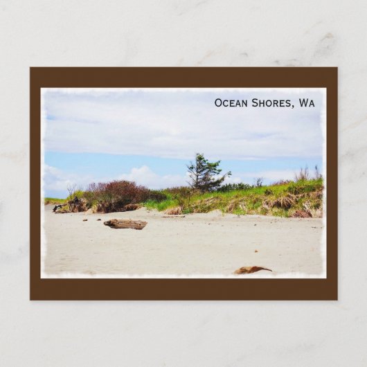 Ocean Shows, Washington Postcard Postkarte (Vorderseite)