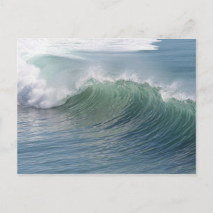 Ocean Splendor Postcard Postkarte