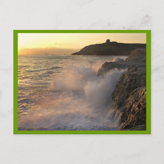 OCEAN SPRAY POSTCARDS POSTKARTE (Vorderseite)
