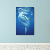 Ocean Sunfish Leinwanddruck (Insitu (Holzboden))