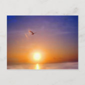 Ocean Sunset Bliss Postkarte (Vorderseite)