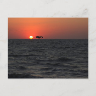 Ocean Sunset mit Seagull Postcard Postkarte