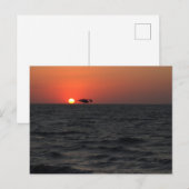 Ocean Sunset mit Seagull Postcard Postkarte (Vorne/Hinten)