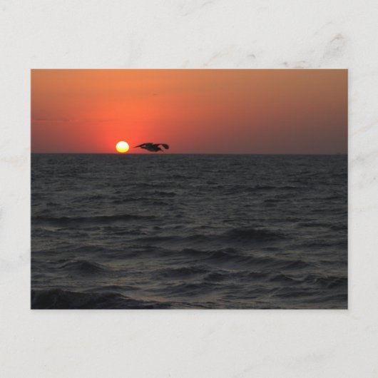 Ocean Sunset mit Seagull Postcard Postkarte (Vorderseite)