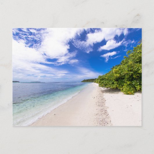 Ocean View Feiertagspostkarte (Vorderseite)