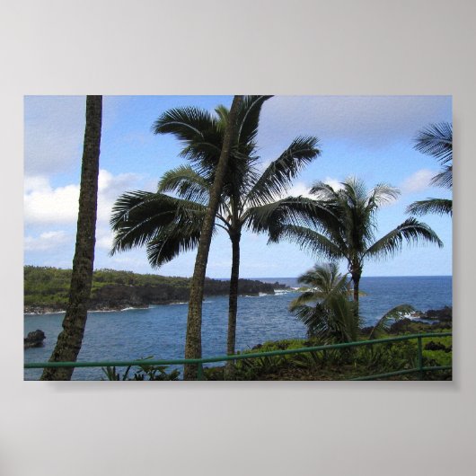 Ocean View Hawaiian Island Maui Poster (Vorne)