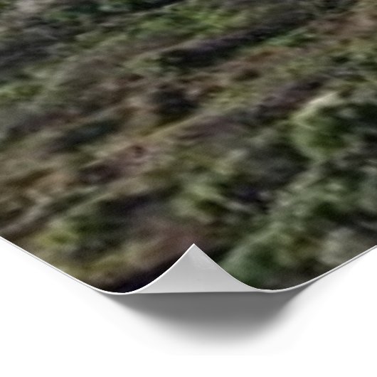 Ocean View Poster (Ecke)