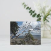 Ocean View Postkarte (Stehend Vorderseite)