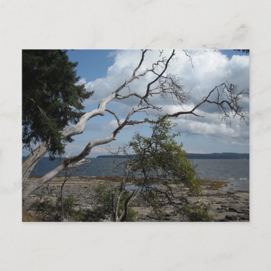 Ocean View Postkarte (Vorderseite)