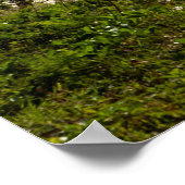 Ocean Waves Sea Caribbean USVI Beach Poster (Ecke)