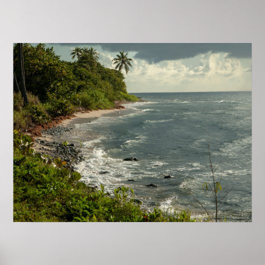 Ocean Waves Sea Caribbean USVI Beach Poster (Vorne)