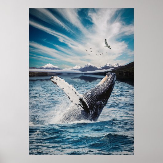 Ocean Whale Poster (Vorne)