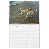 Oceandoggy Kalender 2010 (Mär 2026)