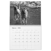 Oceandoggy Kalender 2010 (Feb 2026)