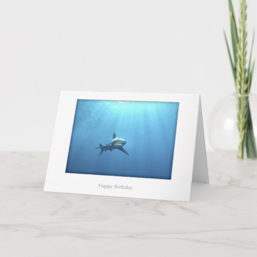 Oceanic Whitetip Shark Birthday Card Karte (Vorderseite)