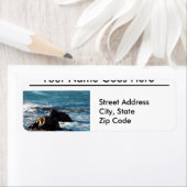 Oceano Beach California mit Rocks Address Labels (Insitu)