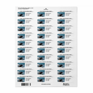 Oceano Beach California mit Rocks Address Labels