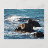 Oceano Beach Postkarte (Vorderseite)