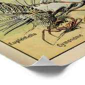 Oceanografia Adolphe Millot Le Larousse Pour Tous Poster (Ecke)