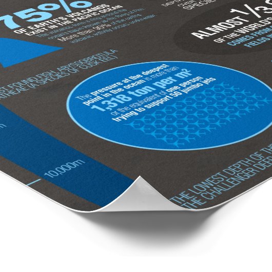 Oceans Infografik Poster (Ecke)