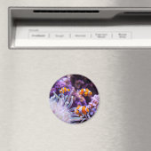 Ocellaris Clownfish | Amphiprion Ocellaris Magnet (In Situ (Geschirrspüler))