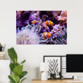 Ocellaris Clownfish | Amphiprion Ocellaris Poster (Heimbüro)