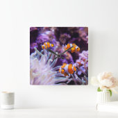 Ocellaris Clownfish | Amphiprion Ocellaris Quadratische Wanduhr (Zuhause)