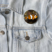 Ocellaris Clownfish Button (Beispiel)
