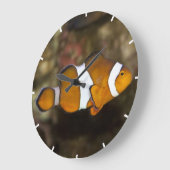 Ocellaris Clownfish Große Wanduhr (Winkel)