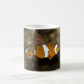 Ocellaris Clownfish Kaffeetasse (Mittel)