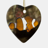 Ocellaris Clownfish Keramikornament (Rechts)