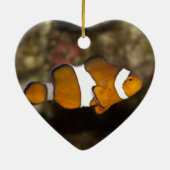 Ocellaris Clownfish Keramikornament (Hinten)