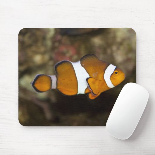 Ocellaris Clownfish Mousepad (Mit Mouse)