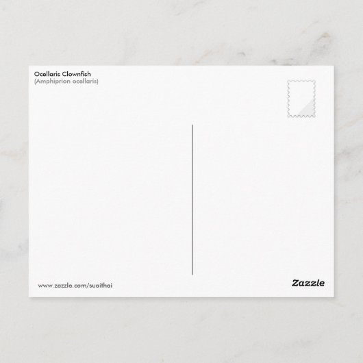 Ocellaris Clownfish Postkarte (Rückseite)
