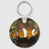Ocellaris Clownfish Schlüsselanhänger (Vorderseite)