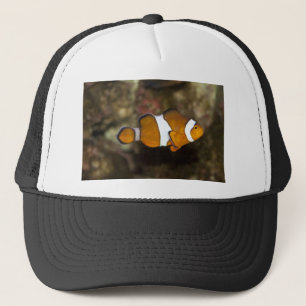 Ocellaris Clownfish Truckerkappe