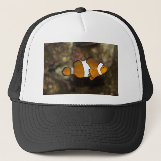 Ocellaris Clownfish Truckerkappe (Vorderseite)