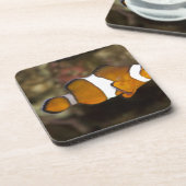 Ocellaris Clownfish Untersetzer (Linke Seite)