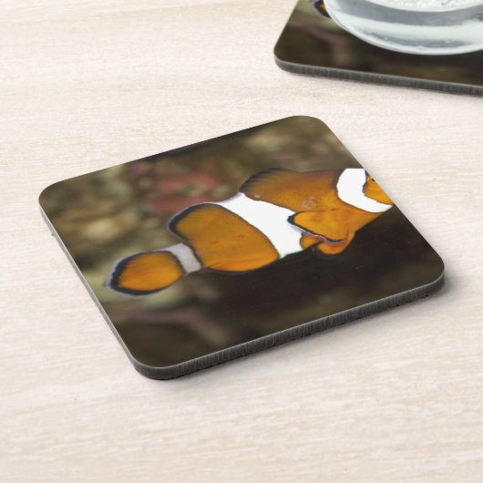 Ocellaris Clownfish Untersetzer (Linke Seite)